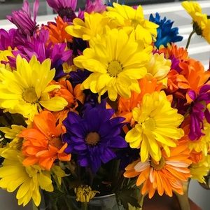 Meet your Posher, Marlyn